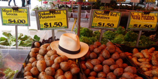 Yukon Gold Potatoes at Union Square Farmers Market
