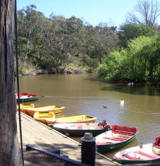 Boats at Studley Park